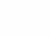 Brazil Air Pets Export